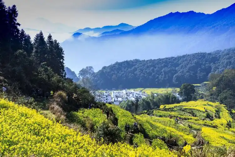 江南好,风景旧曾谙