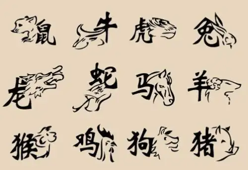 1992年属猴的是什么命 1992年属猴的最佳配偶是哪些