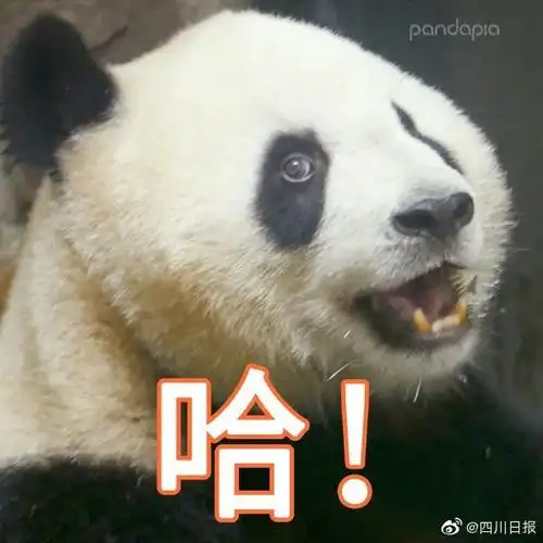 又厉害又可爱!看大国重器打破垄断领先世界