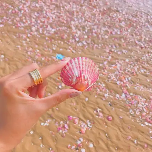 烟台小众景点—少女心爆棚的粉色贝壳沙滩