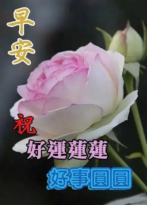 早上好图片文字