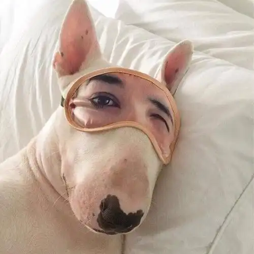 女生头像分不清男女的丑头像