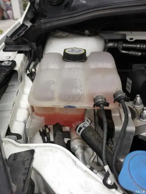 新福克斯冷却液大家多这样吗