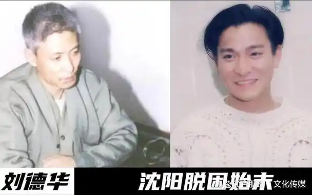 刘德华东北开演唱会当众被打耳光被软禁找的哪位大佬出面解决