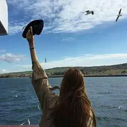 背影海边海鸥黑白头像 - 搜狗图片搜索