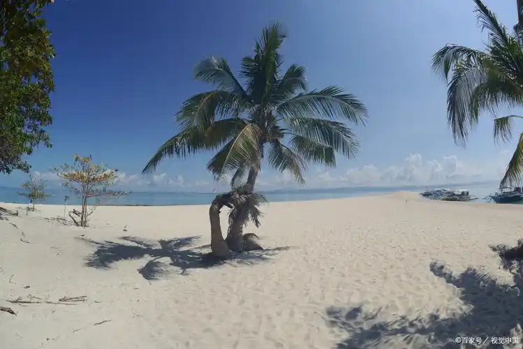 海南岛的阳光沙滩是冬日里的温暖.@旅途风景客的动态