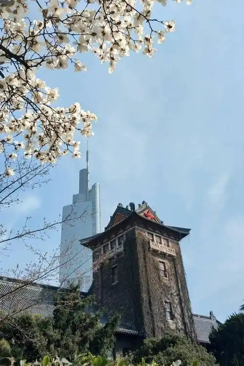 道启南雍致无穷南京大学我们来啦