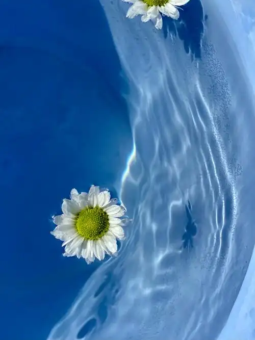 水中花蓝色系列