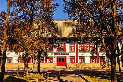 北京大学艺术学院