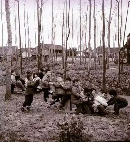 时光倒流四十年,从老照片看镇海教育变迁