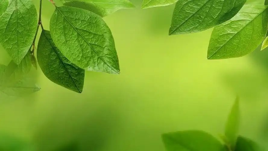 2020-06-16壁纸标签:护眼壁纸封面图护眼壁纸【609】壁纸于2020-06-16