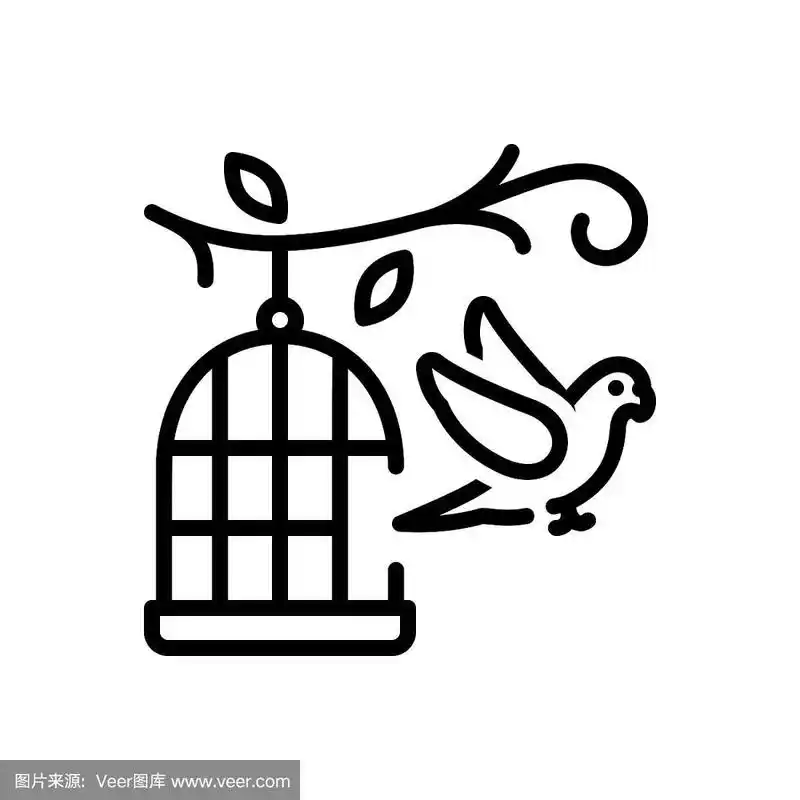 鹦鹉在笼子外面