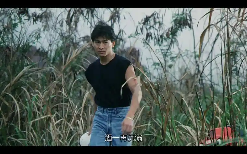 天若有情之追梦人配曲灰色轨迹刘德华吴倩莲