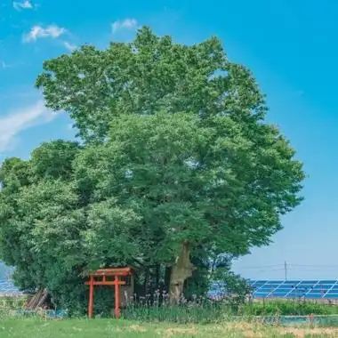 夏日清新风景微信头像 2020七月带好运头像高清好看