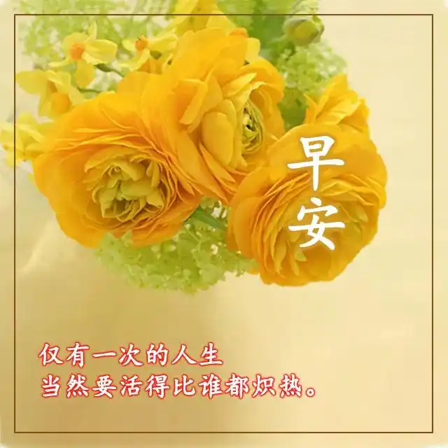 清晨各种问候语的动态图片 有趣的早安问候语和图片 - 早安心语- 不二