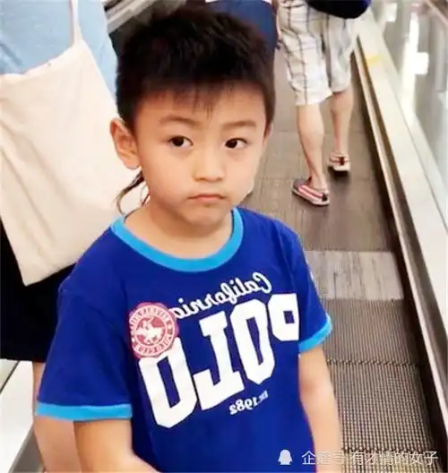 谢振南|谢霆锋|整容|张柏芝|谢振轩