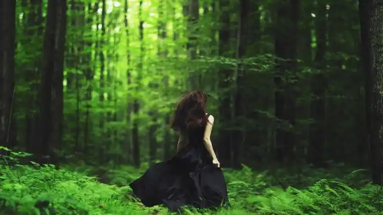 森林,女孩,黑色裙子,背影,唯美意境壁纸