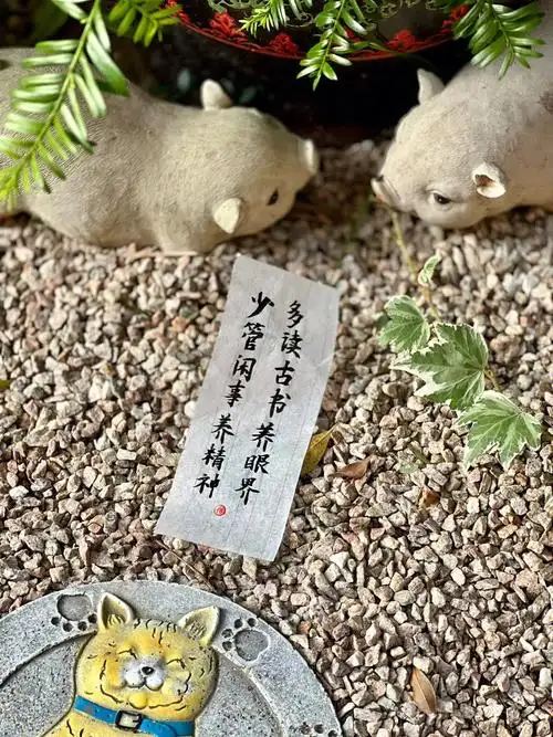 多读古书养眼界少管闲事养精神