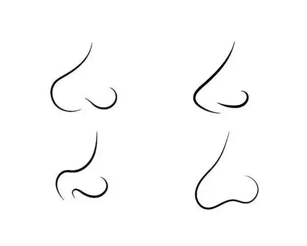 鼻子怎么画简单方法简笔画