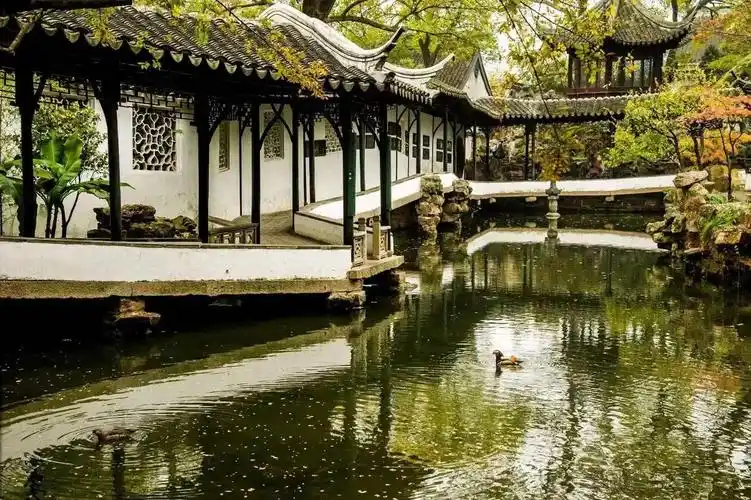 江南园林看苏州(江南园林苏州园林区别)江南园林看苏州