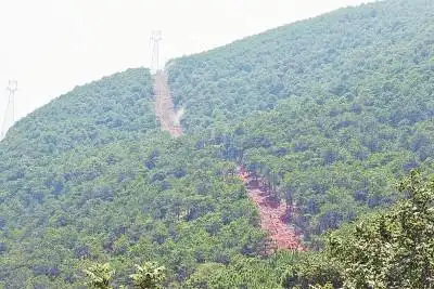 新建立的防火隔离带.