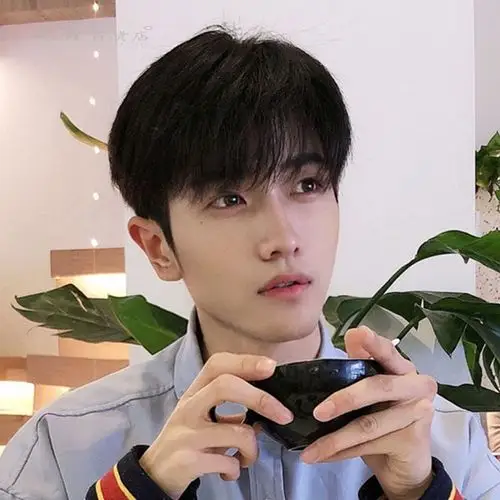 假发男中分 蓬松帅气_男生假发短发韩版帅气正太伪娘中分刘海逼真自然