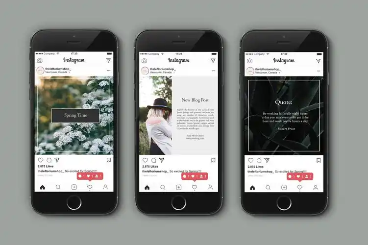 叶子instagram简约社交媒体广告banner包