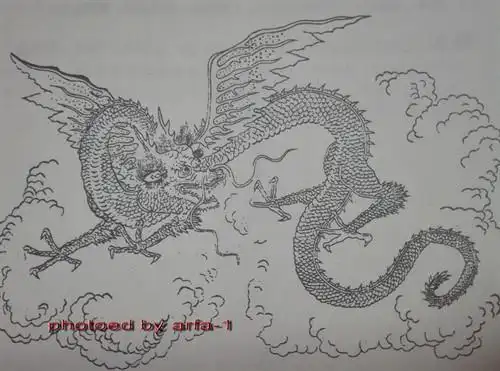 简笔画应龙视频