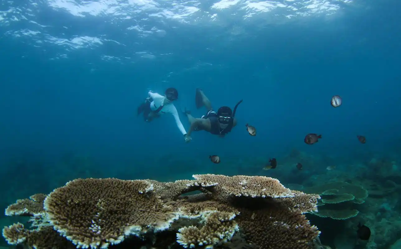 海南陵水举行潜水节