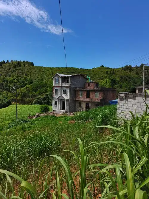 真实的农村建房