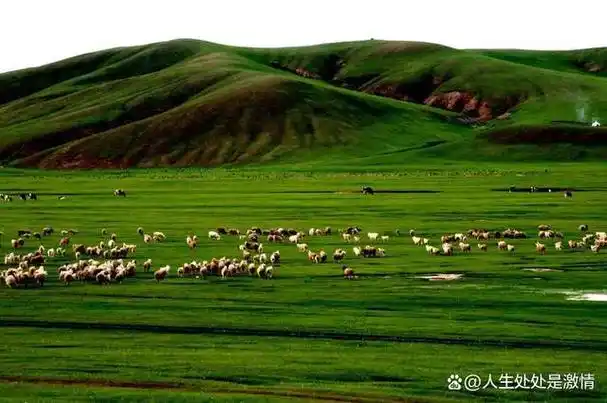 想要体验内蒙古的草原与沙漠美景吗?