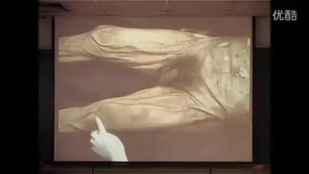 下肢解剖与膝动脉讲座上传者:magon0612播单创建者magon0612医学势档