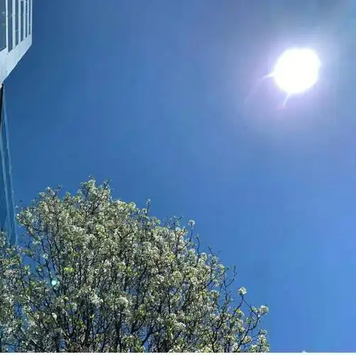 这次是风景篇#易烊千玺  #ins  #易烊千玺ins