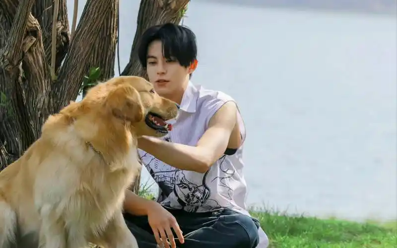 王鹤棣秀腹肌引发热议,网友直呼:这是腹肌还是小肚子?_照片_身材_要求