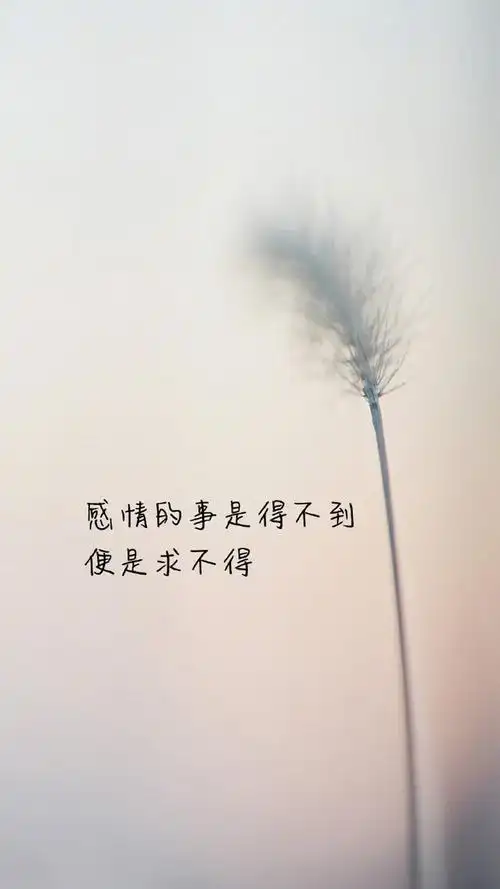 个性文字语录图片手机壁纸.