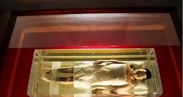 长沙挖出千年不朽女尸,一小伙自告奋勇:我来主刀解剖|尸体|古墓|腐烂