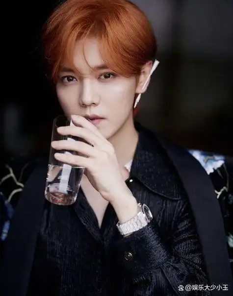 鹿晗身世不简单!保镖曝光,揭秘京城鹿少的超强背景引爆热议!