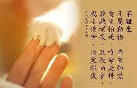 杀生是短命多病的唯一之因