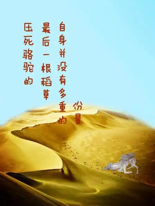 压死骆驼的最后一根稻草是什么意思