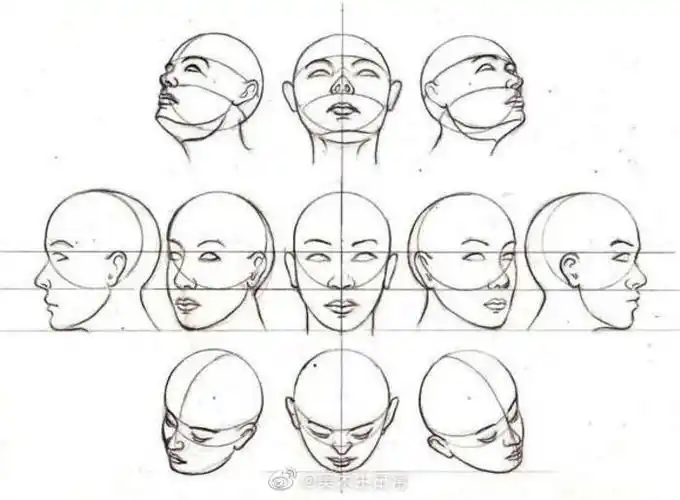 头部不同角度与动态的画法