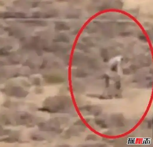 外星人隐居中国之谜目击者通过测谎实验是真是假