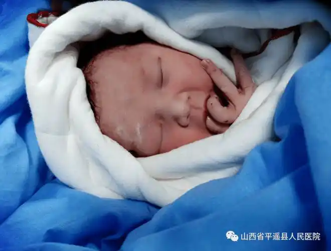 平医喜迎元旦宝宝新年新生新希望