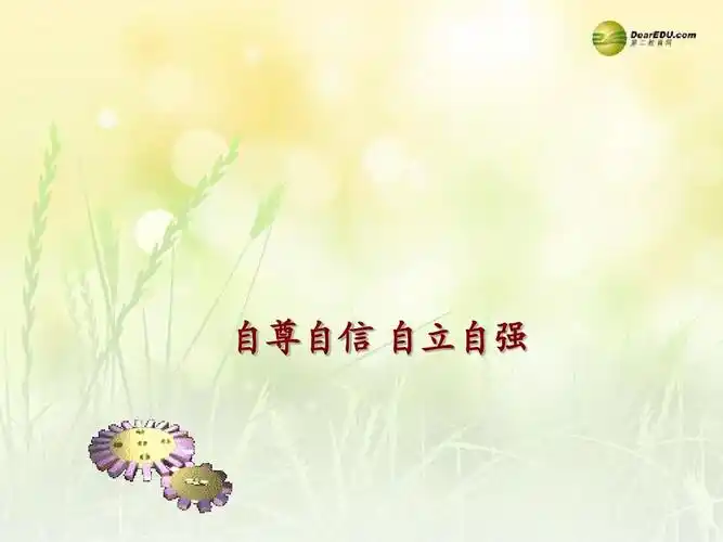 2014中考政治专题总复习 自尊自信 自立自强课件(含2013年真题为例)