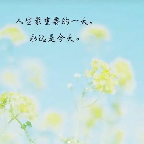 143/200阿汤打卡借鉴一组唯美照片,表达我的心境.