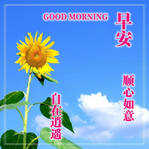 早上好的问候美句有哪些早上问候语大全