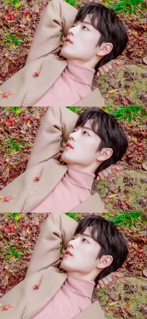 明星系列壁纸丨肖战帅气高清锁屏手机壁纸