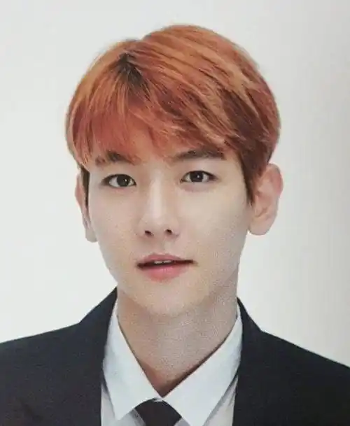 exo证件照大全,每一张都是完美级容颜,值得一辈子珍藏_朴灿烈_张艺兴