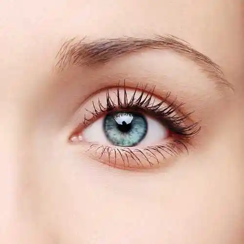 蓝眼睛图片-蓝眼睛极端微距镜头素材-高清图片-摄影照片-寻图免费打包