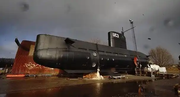 彭湃之子4岁成孤儿8岁被捕入狱周总理接到延安成共和国大功臣