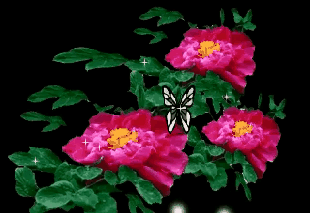 美丽风景和花收集2020年3月11日